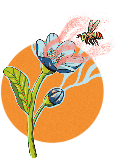 ductos-transportadores-plantas