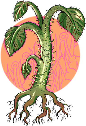 ductos-transportadores-plantas