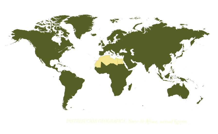 Mapa de la zona