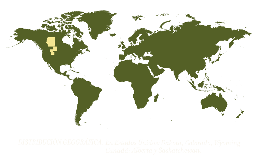 Mapa de la zona